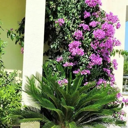 Moonlight - Two Bedroom With Sea View Terrace Family